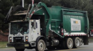 waste management christmas tree pickup vWwY